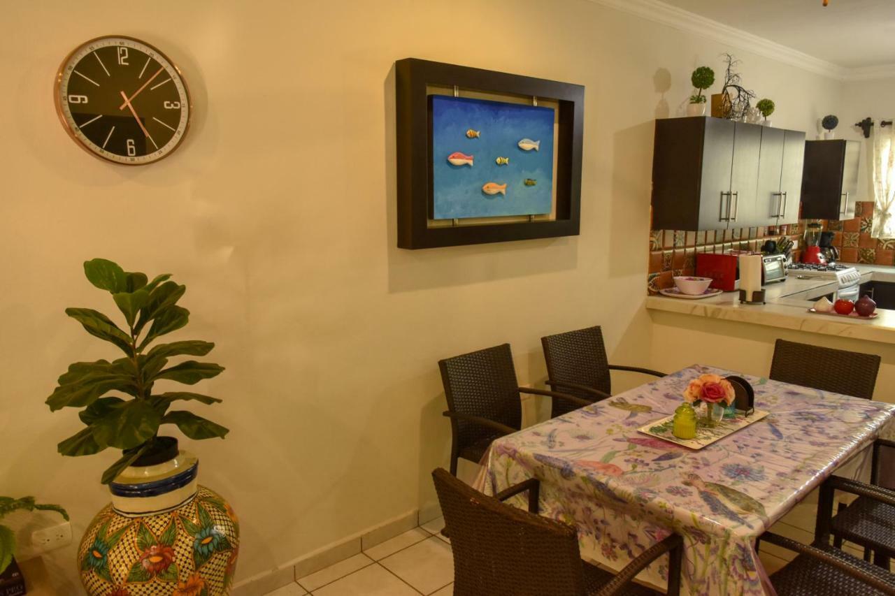 コスメル Casa Marisolヴィラ エクステリア 写真